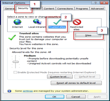 Figure 5 - Internet Options: Security Tab